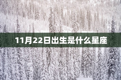 11月22日出生是什么星座