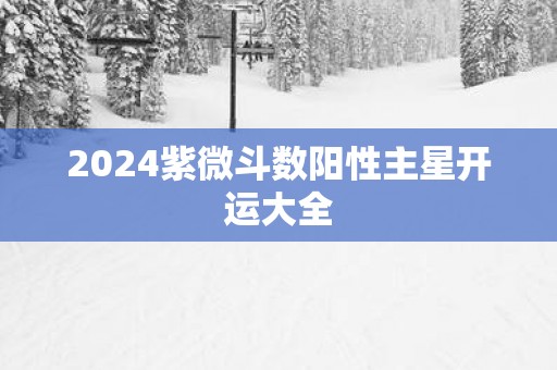 2025紫微斗数阳性主星开运大全