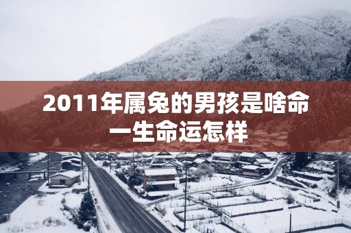 2011年属兔的男孩是啥命 一生命运怎样