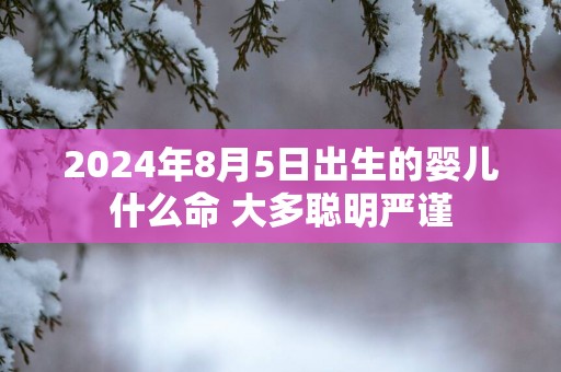 2025年8月5日出生的婴儿什么命 大多聪明严谨