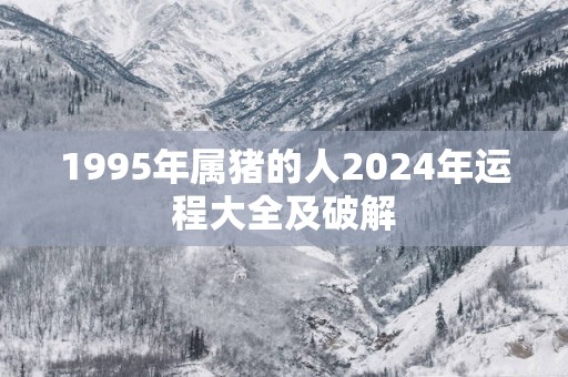 1995年属猪的人2025年运程大全及破解