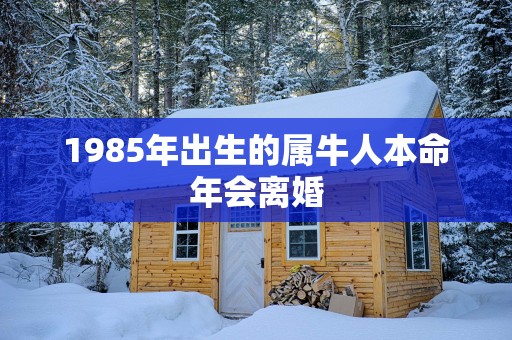 1985年出生的属牛人本命年会离婚