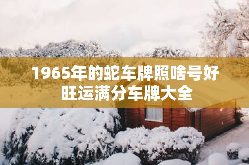 1965年的蛇车牌照啥号好 旺运满分车牌大全