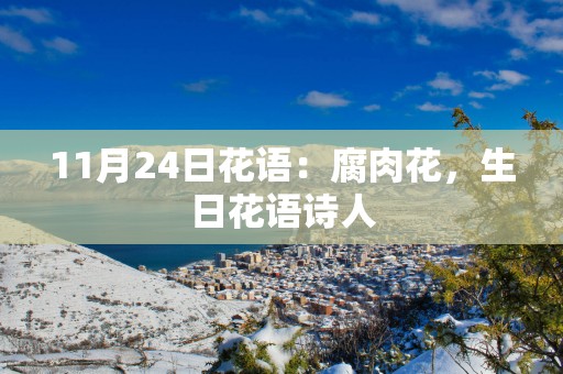 11月24日花语：腐肉花，生日花语诗人