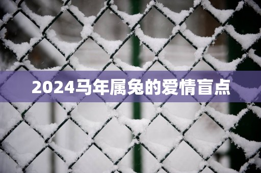 2025马年属兔的爱情盲点