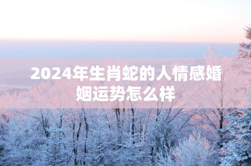 2025年生肖蛇的人情感婚姻运势怎么样
