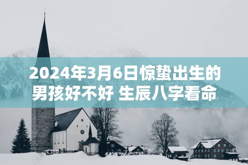 2025年3月6日惊蛰出生的男孩好不好 生辰八字看命
