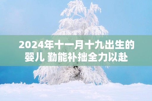 2025年十一月十九出生的婴儿 勤能补拙全力以赴