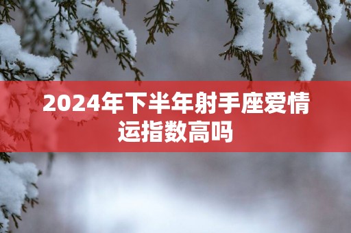 2025年下半年射手座爱情运指数高吗