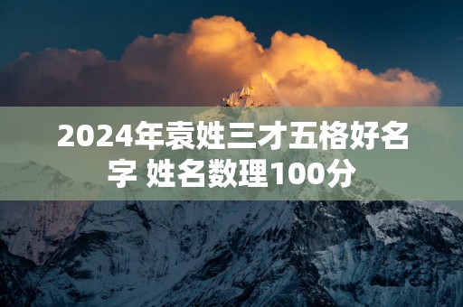 2025年袁姓三才五格好名字 姓名数理100分