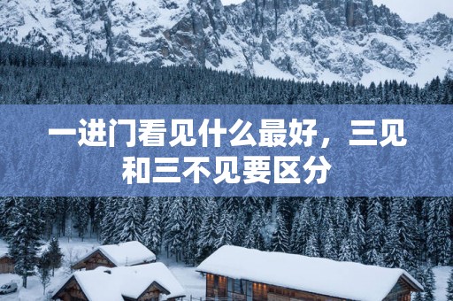 一进门看见什么最好，三见和三不见要区分