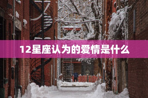 12星座认为的爱情是什么