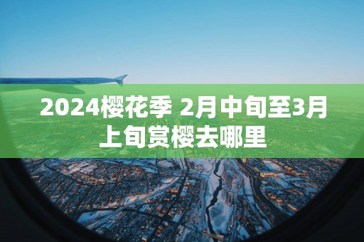 2025樱花季 2月中旬至3月上旬赏樱去哪里