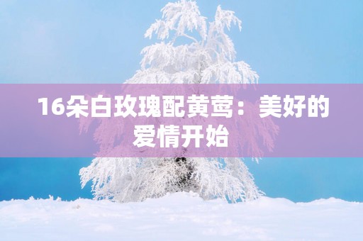 16朵白玫瑰配黄莺：美好的爱情开始