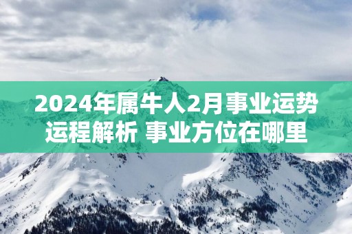 2026年属牛人2月事业运势运程解析 事业方位在哪里