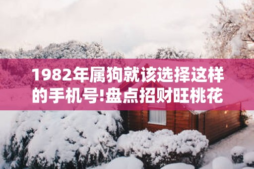 1982年属狗就该选择这样的手机号!盘点招财旺桃花运的尾号!