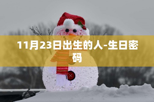 11月23日出生的人-生日密码