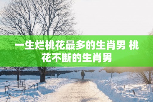 一生烂桃花最多的生肖男 桃花不断的生肖男