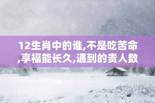 12生肖中的谁,不是吃苦命,享福能长久,遇到的贵人数不胜数