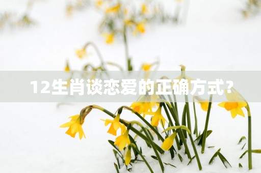12生肖谈恋爱的正确方式？