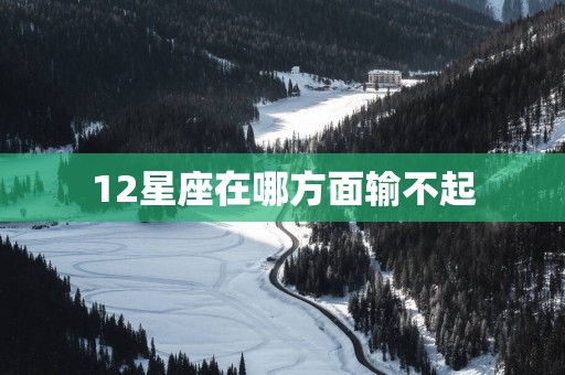 12星座在哪方面输不起