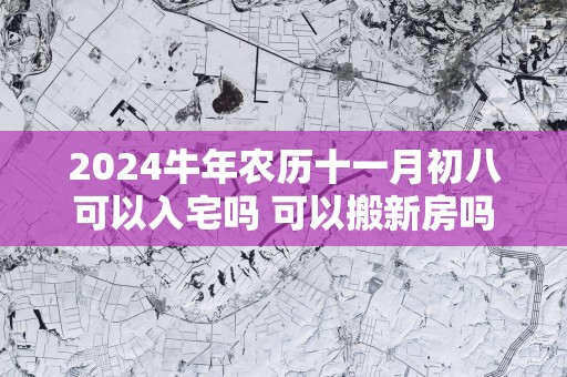 2025蛇年农历十一月初八可以入宅吗 可以搬新房吗