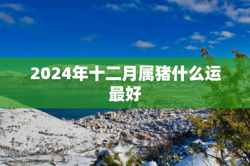 2025年十二月属猪什么运最好
