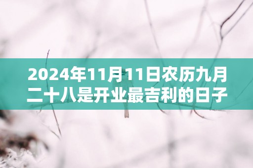 2025年11月11日农历九月二十八是开业最吉利的日子么 今天能不能做生意