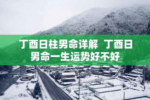 丁酉日柱男命详解  丁酉日男命一生运势好不好