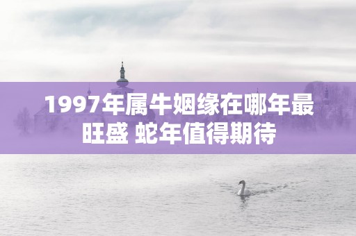 1997年属牛姻缘在哪年最旺盛 蛇年值得期待