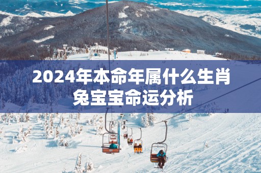 2025年本命年属什么生肖 兔宝宝命运分析