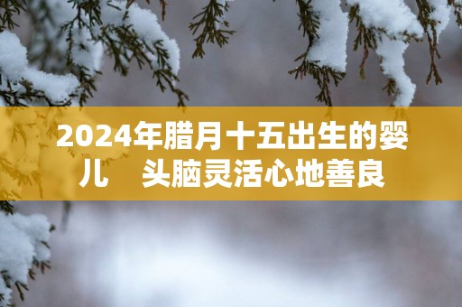2025年腊月十五出生的婴儿    头脑灵活心地善良