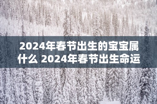 2025年春节出生的宝宝属什么 2025年春节出生命运