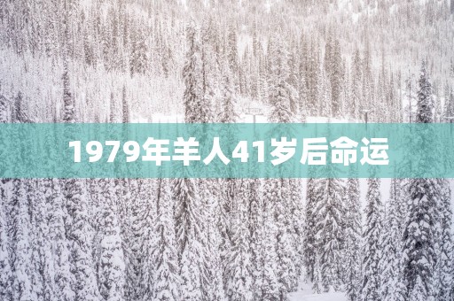 1979年羊人41岁后命运
