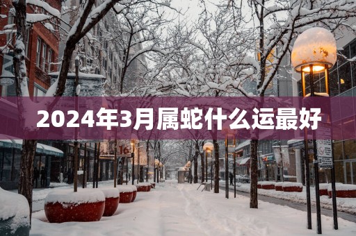 2025年3月属蛇什么运最好