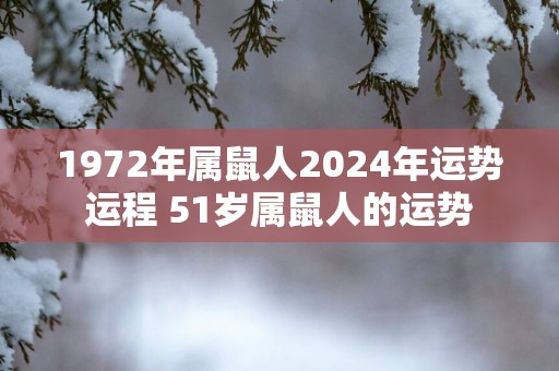 1972年属鼠人2025年运势运程 51岁属鼠人的运势