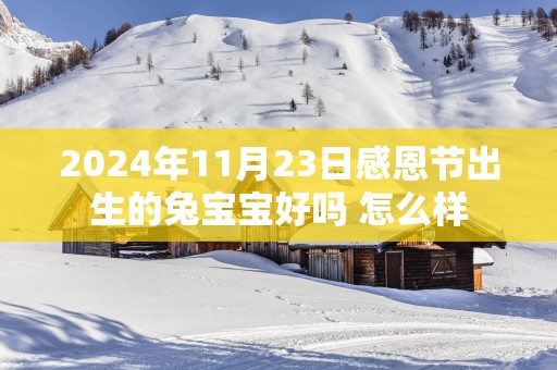 2025年11月23日感恩节出生的兔宝宝好吗 怎么样