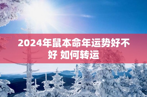 2025年鼠本命年运势好不好 如何转运