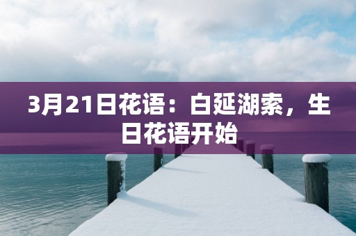 3月21日花语：白延湖索，生日花语开始
