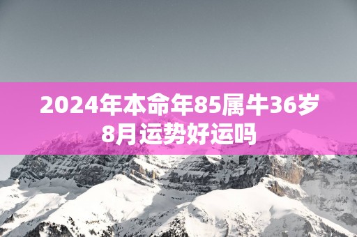 2025年本命年85属牛36岁8月运势好运吗