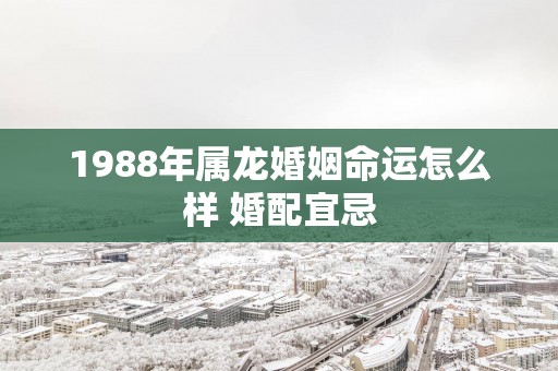1988年属龙婚姻命运怎么样 婚配宜忌