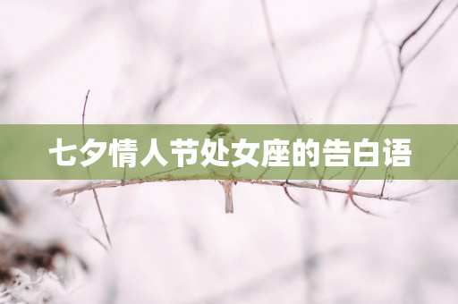 七夕情人节处女座的告白语