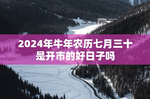 2025年蛇年农历七月三十是开市的好日子吗