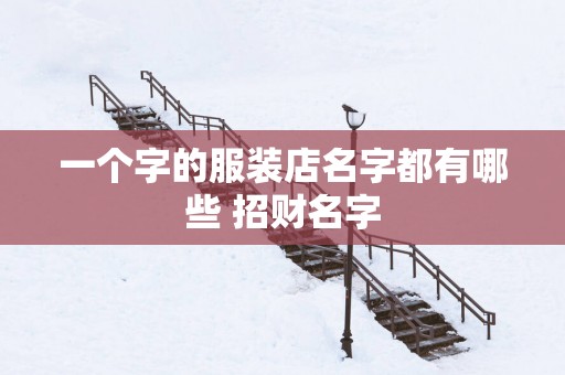 一个字的服装店名字都有哪些 招财名字