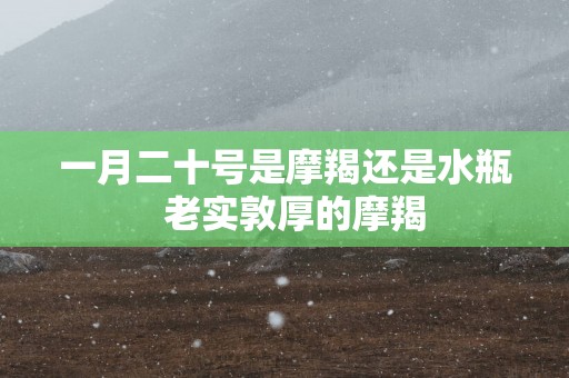 一月二十号是摩羯还是水瓶  老实敦厚的摩羯