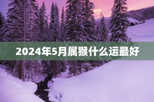 2025年5月属猴什么运最好