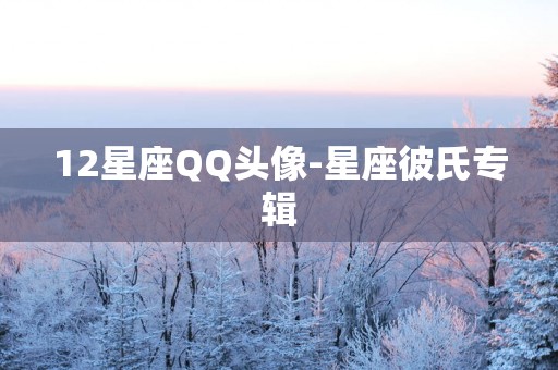 12星座QQ头像-星座彼氏专辑