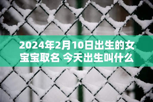 2025年2月10日出生的女宝宝取名 今天出生叫什么名字好