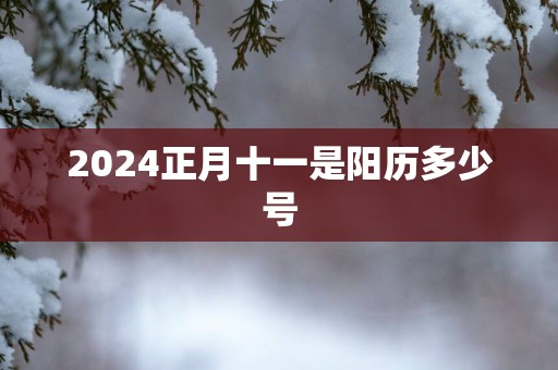 2025正月十一是阳历多少号