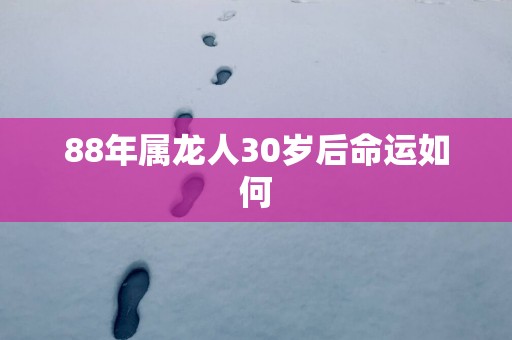 88年属龙人30岁后命运如何